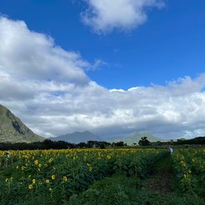 Meet your Posher, Bora